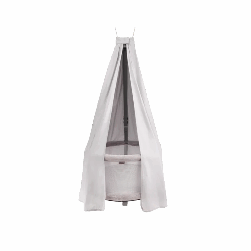 Zasłonka popiel